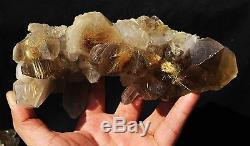 864,5g Nouvelle Trouvaille Natural Clear Gold Spécimen En Grappes De Cristal Quartz Rutile
