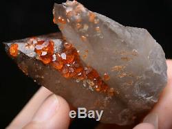 87.6g Naturel Quartz Fumé Grenat Cristal Minéral Grappe D'échantillons