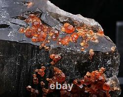 895,5 G Natural Smoky Quartz Garnet Crystal Cluster Mineral Specimen (en)