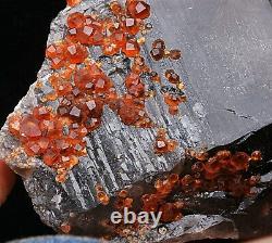 895,5 G Natural Smoky Quartz Garnet Crystal Cluster Mineral Specimen (en)
