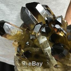9.0lb Grand Quartz Fumé Noir Naturel Cristal Cluster Rugueux Guérison Des Échantillons