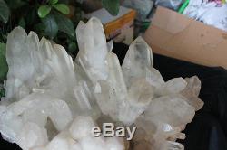 92.5lb Large Natural Clear White Quartz Cristal Cluster Points Original Tibétain