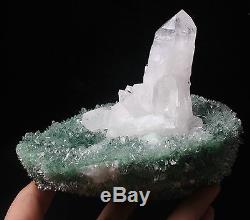937g New Find Vert Et Blanc Phantom Quartz Crystal Cluster Spécimen Minéral