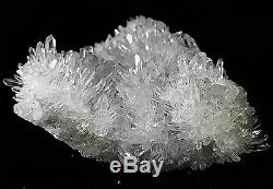 945g Effacer Naturel Beau Chrysanthème Blanc Cristal Quartz Cluster Spécimen