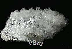 945g Effacer Naturel Beau Chrysanthème Blanc Cristal Quartz Cluster Spécimen