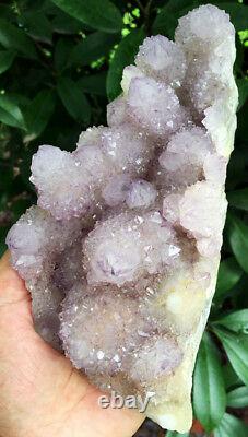 946g Natural Fantastic Cactus Amethyst Crystal Cluster Afrique Du Sud Ip0966
