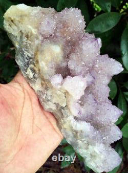 946g Natural Fantastic Cactus Amethyst Crystal Cluster Afrique Du Sud Ip0966