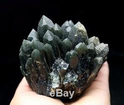 993,6g De Spécimens Minéraux De La Grappe De Cristal De Quartz Vert De Grande Découverte / Chine
