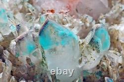 Ajoite Quartz Cristal Cluster Afrique Du Sud Rare Qualité Musée