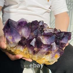 Améthyste naturelle en grappe - Cristal de quartz violet - Échantillon rare de minéral - 8700g.