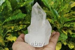 Blanc Clair Samadhi Quartz Rock Crystal 606gm Cluster Top Grande Pierre De Médiation