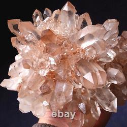 C'est La Classe Du Musée! Gem Angel Elestial Pink Lemurian Quartz Cluster Crystal Point