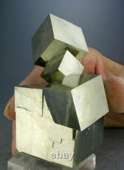 Chiny 6-cube Golden Pyrite Crystal Cluster De L'espagne Avec Video, Globe Minerals