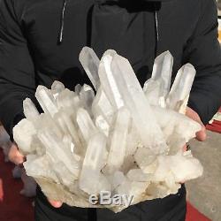 Chrysanthème Blanc Naturel 18lb11clear Quartz Crystal Cluster Specimen Ab602