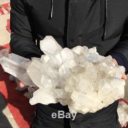 Chrysanthème Blanc Naturel 18lb11clear Quartz Crystal Cluster Specimen Ab602