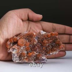 Cluster De Cristal D'hématite De Quartz Rouge Du Maroc (175,7 Grammes)