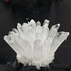 Cluster de cristaux de quartz blanc Phantom Nouvelle trouvaille 871G spécimen minéral