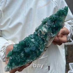 Cluster de cristaux de quartz fluorite naturelle verte de 2,5 lb