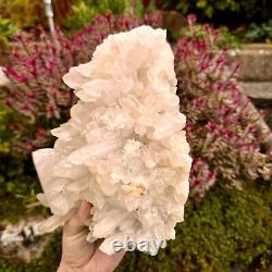 Cluster de pointe de quartz clair enchanté - Gros spécimen rare de cristaux déclaratifs