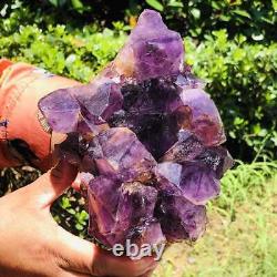 Cluster naturel d'améthyste 2140G - spécimen rare de cristal de quartz violet