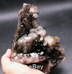 Cristal Cluster Rare Clear Point D'échantillons De Guérison Skeletal Fumeux Quartz Noir