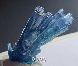 Cristal De Forme De Tourmaline D’indicolite De Qualité Supérieure