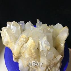 Cristal De Quartz Naturel Énorme De 21lb Spécimen Minéral Rare De Squelette Guérir De Guérison