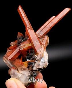 Cristal Rouge Cluster Et Forme De Fleur Spécularite Minérale Spécimen / Chine Y00652