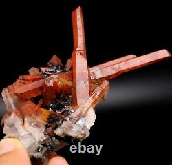 Cristal Rouge Cluster Et Forme De Fleur Spécularite Minérale Spécimen / Chine Y00652