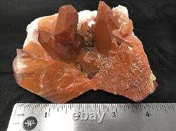 Cristal de quartz rouge en grappe pointue Maroc 13.9oz N37