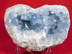 Cristaux Blue Translucides! Un Gros Célestite Ou Un Cluster De Cristal Célestin! 1635gr