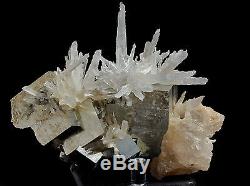 Cristaux De Pyrite Lumineux & Sceptre Quartz Cluster Minéral De Shangbao, Chine