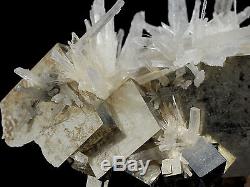 Cristaux De Pyrite Lumineux & Sceptre Quartz Cluster Minéral De Shangbao, Chine