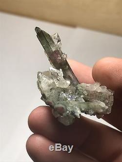 Crystal Blue Tourmaline Crystal Avec Quartz All Over Cluster Voir Photos Pederneira