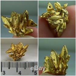 Crystal Gold Native Rare Cluster Bolivar, Venezuela, 4,6 Grammes! 1,6 CM