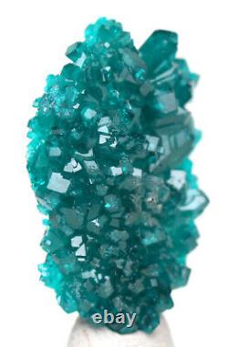 Dioptase Cristal Cluster Emerald Green Mineral Specimen Kazakhstan Gemme