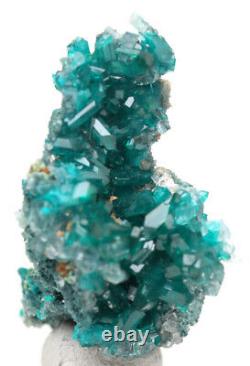 Dioptase Cristal Cluster Emerald Green Mineral Specimen Kazakhstan Gemme