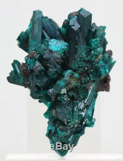 Dioptase Cristal Cluster Vert Émeraude Minéral Spécimen Kazakhstan Pierres Précieuses