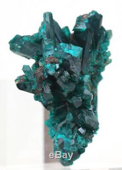 Dioptase Cristal Cluster Vert Émeraude Minéral Spécimen Kazakhstan Pierres Précieuses