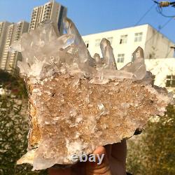 Échantillon de grappe de cristal de quartz blanc naturel clair et magnifique de 3,38 lb