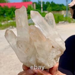 Échantillon de grappe de cristaux de quartz blanc naturel clair et magnifique de 1,65 lb
