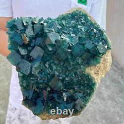 Échantillon minéral de cluster de cristaux de fluorite cubique verte naturelle de haute qualité pesant 8,4 livres.