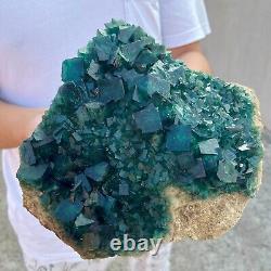 Échantillon minéral de cluster de cristaux de fluorite cubique verte naturelle de haute qualité pesant 8,4 livres.