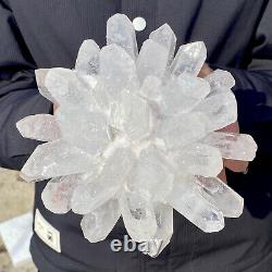 Échantillon minéral de cluster de cristaux de quartz blanc Phantom nouvellement découvert de 4,6 livres