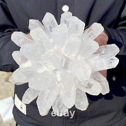Échantillon minéral de cluster de cristaux de quartz blanc Phantom nouvellement découvert de 4,6 livres