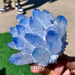 Échantillon minéral de cristal de quartz bleu Phantom nouvellement découvert de 344G restauré