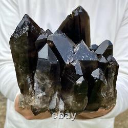 Échantillon minéral de cristal de quartz noir naturel et magnifique de 4,2 livres