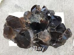Énorme 114lb Naturel Smoky Quartz Vug Cluster Druzy Crystal Point Baguette Guérison