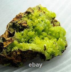 Formation Unique Jaune Vert Pyromorphite Crystal Cluster Pymm026