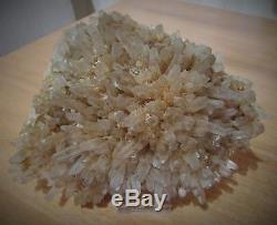 Graines De Quartz Fumé Et Citrine Natural Crystal Cluster 1.557 KG - Bulgaria + Stand
